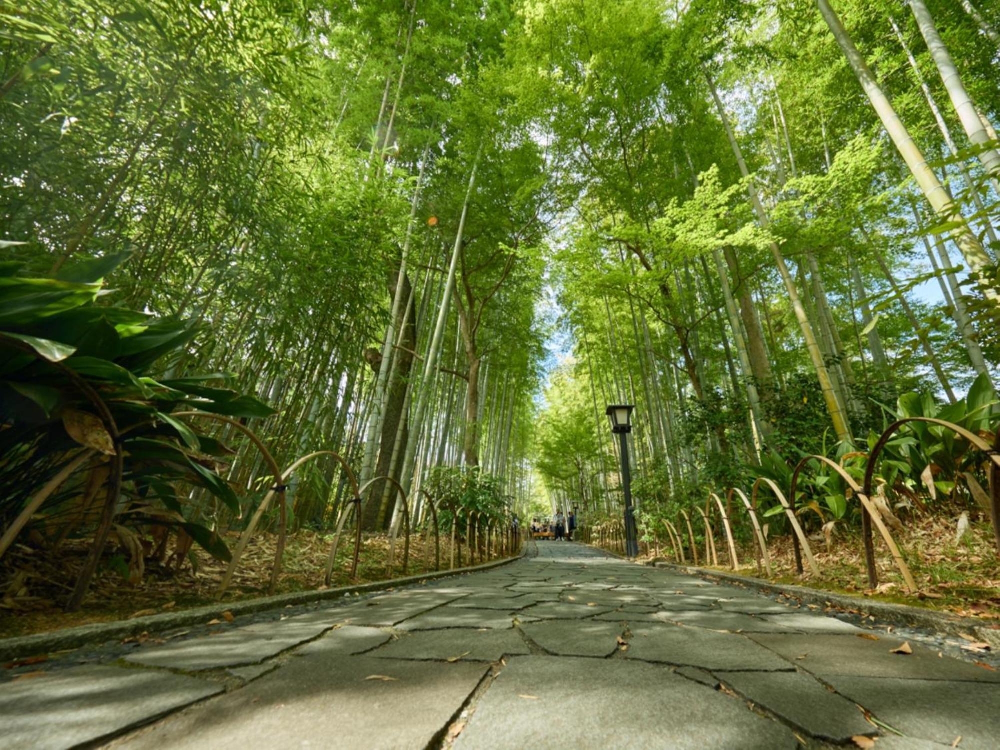 Shuzenji Onsen Hotel Takitei Izu  Luaran gambar