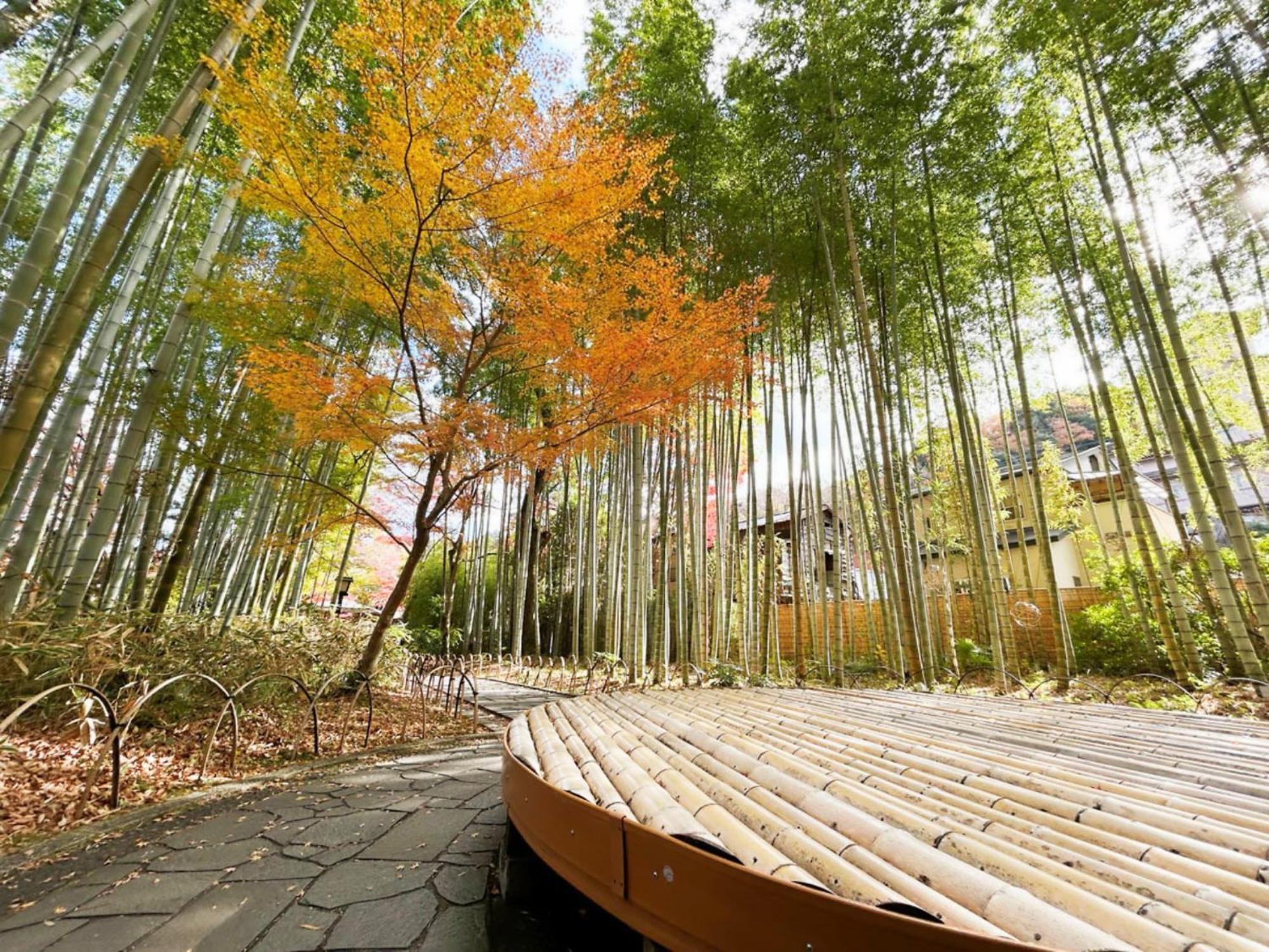 Shuzenji Onsen Hotel Takitei Izu  Luaran gambar